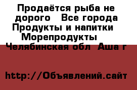 Продаётся рыба не дорого - Все города Продукты и напитки » Морепродукты   . Челябинская обл.,Аша г.